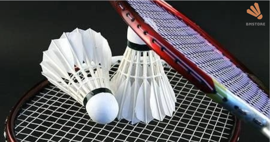 giày cầu lông mizuno 2024 lựa chọn tốt