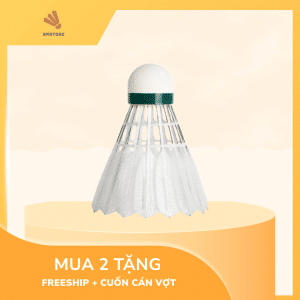 ảnh cầu lông victor ncs