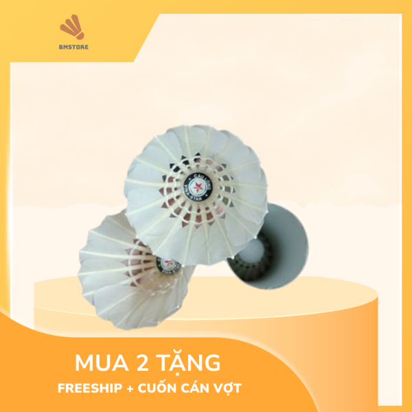 Ống cầu lông Vina Star