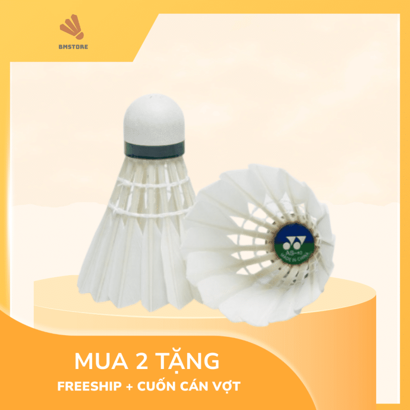 Giá Quả Cầu Lông